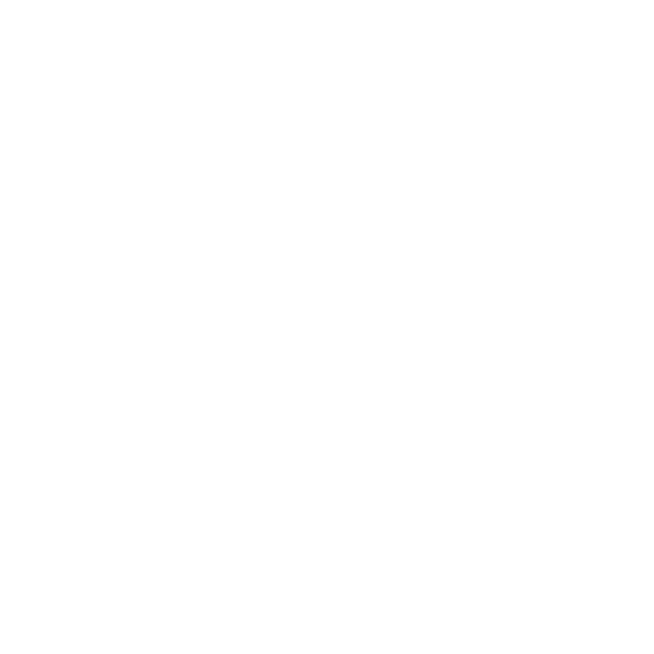 Memphis Foundation partner